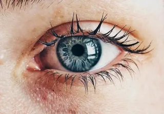 The Power of Presence: Why You Need to Be in the Room