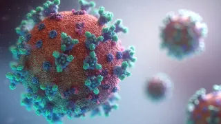 Malaria Versus Methylene Blue