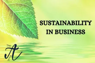 Sustainability in Business