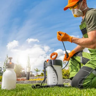 Protecting Your Home: The Importance of Termite and Pest Control