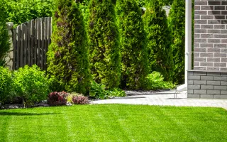 Discover the Best Trees for Kuna Climate – Ideal Choices