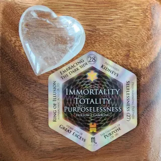 Gene Key 28 ✨  IMMORTALITY - TOTALITY - PURPOSELESSNESS