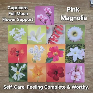 Capricorn Full Moon + Gene Key 53 + Pink Magnolia