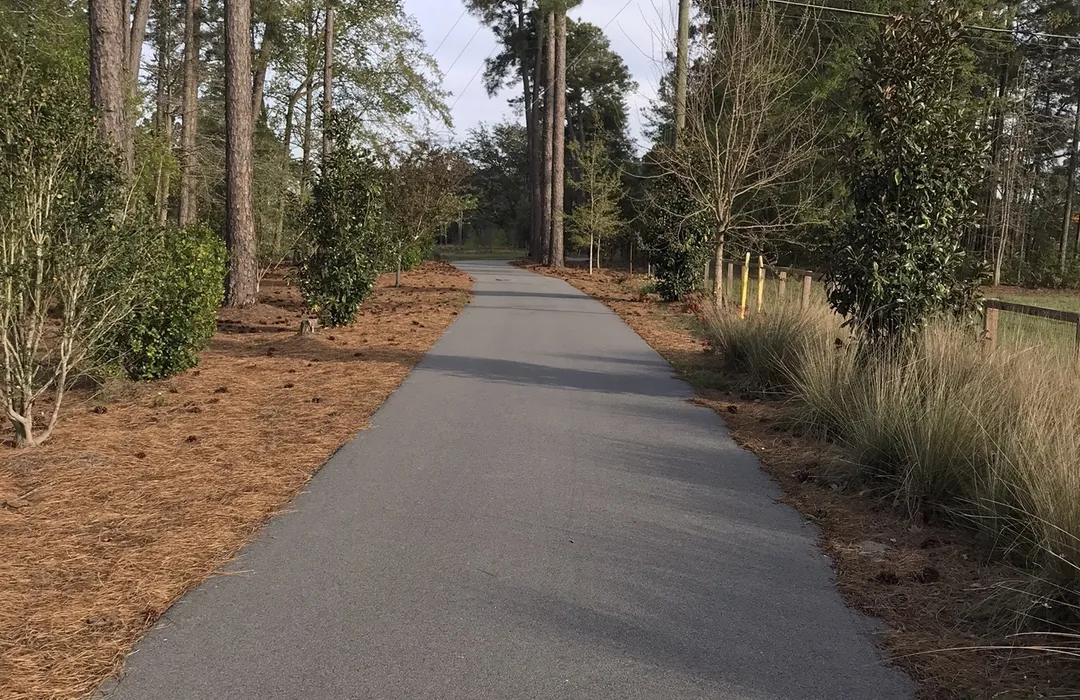 🌿Hidden Tranquility in the ‘Ville: Why You Gotta Explore Shannonwood Neighborhood Trails in Summerville, SC