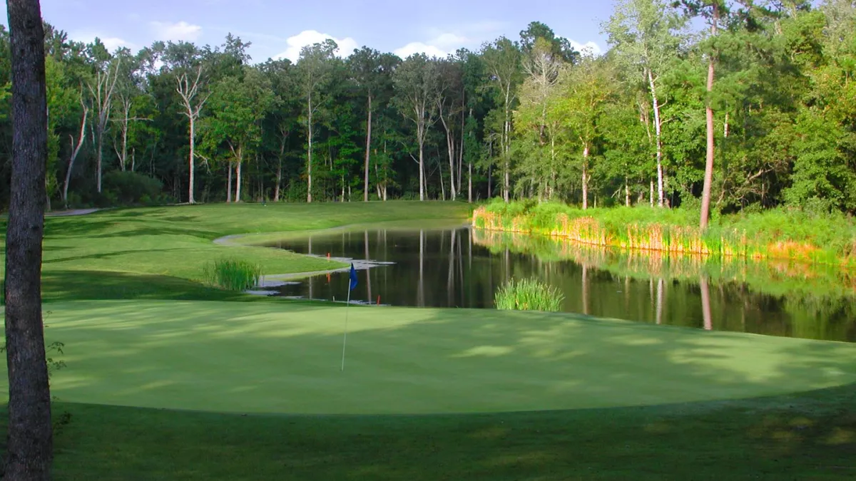 🥏 Play, Relax, Repeat at Wescott Park Disc Golf Course – A Summerville Favorite