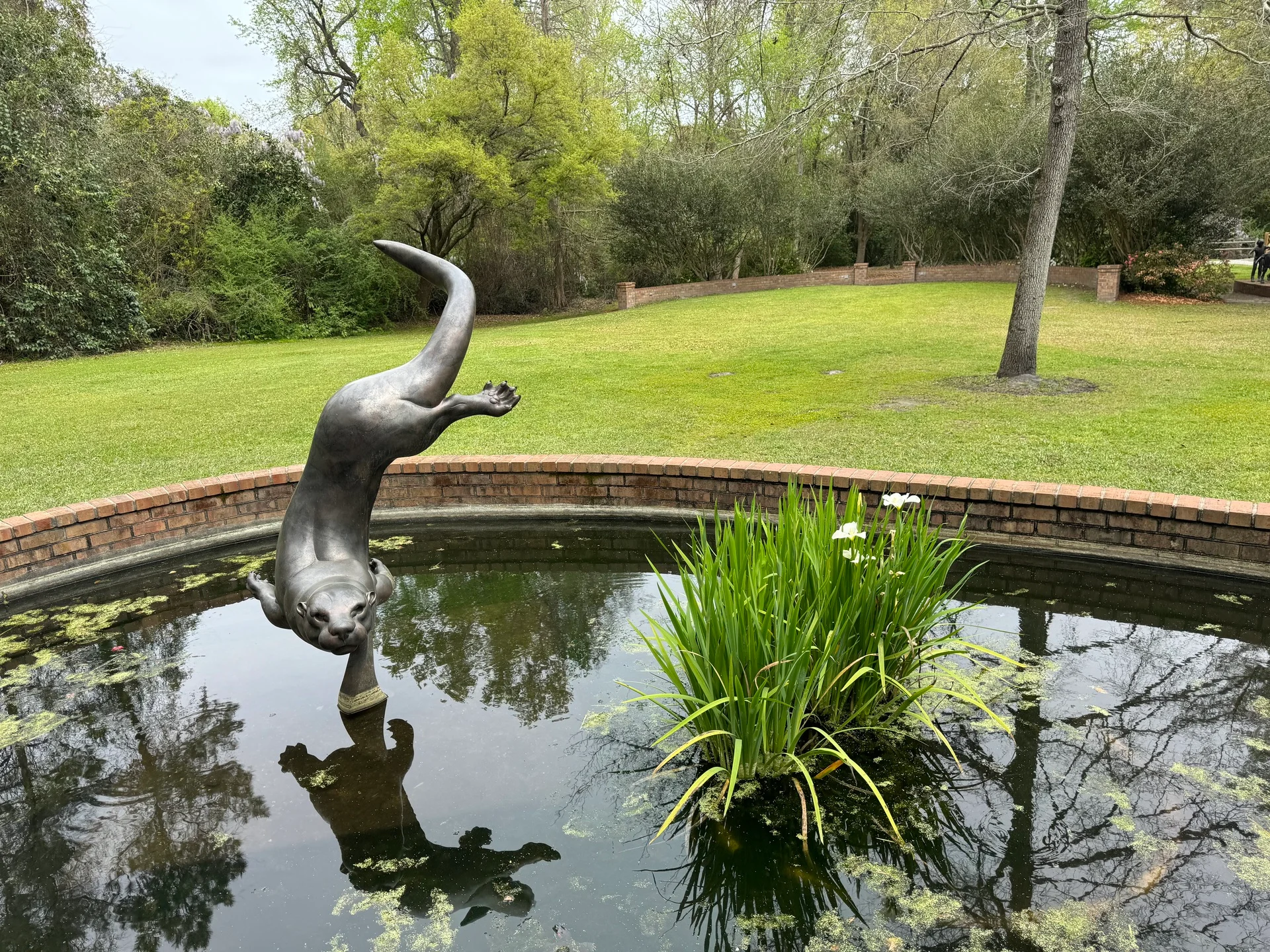 🐾 Azalea Dog Park: Summerville’s Tail-Wagging Hotspot