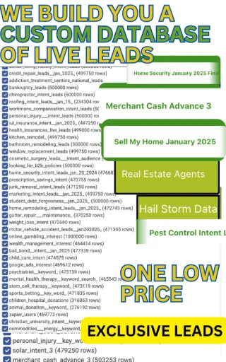 Zoominfo Alternative: Best Business Data  Providers
