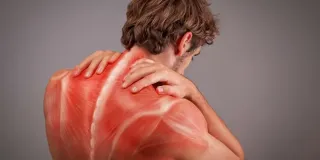 FASCIA: What Is It? And Why Should I Care?