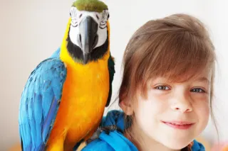 Wenn dein Kind zum Papagei des narzisstischen Vaters wird und seine Worte spricht