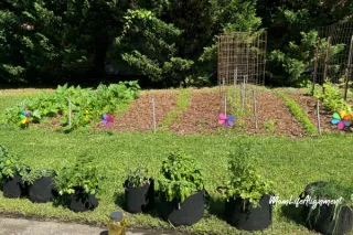 Embrace Self Reliance Through Gardening