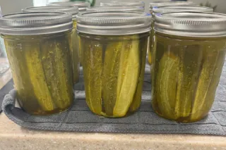 Quick & Easy Home Canned Pickles