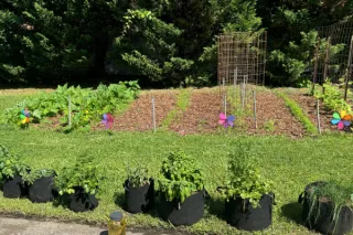 Embrace Self-Reliance Through Gardening