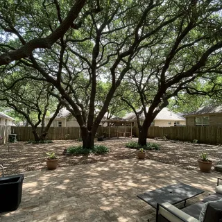 Marketing Mature Trees vs. New Build Landscapes | Refind Realty DFW