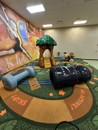 Aladdin's Carpet Cleaners Saved LA Fitness Play Area