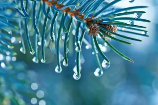Handling the winter blues