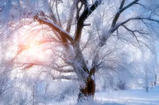 Yule and Christmas