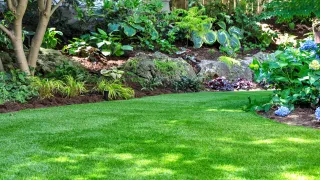 The Ultimate Guide to Seasonal Lawn Care: What to Do Every Season