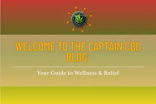 Welcome to The Captain CBD Blog: Your Guide to Wellness & Relief