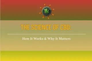 he Science of CBD: How It Works & Why It Matters