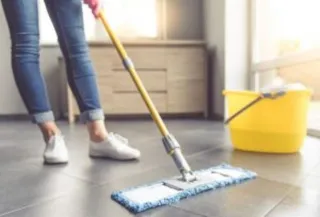 DIY Pest Control: Does it really work in Cape Coral & Fort Myers, FL?