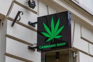 Why Hiring a CPA Experienced in the Cannabis Industry Makes a Difference
