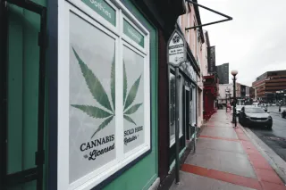 Why Specialized Cannabis CPA Support Makes a Difference