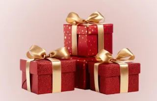 Boudoir for Christmas? We Still Have Time!