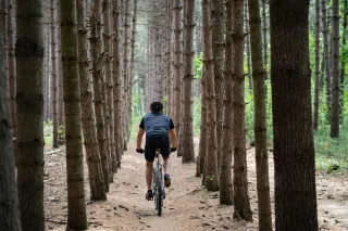 How Biking Promotes Mental Clarity and Emotional Balance