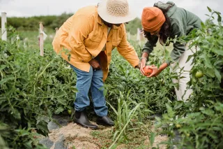 How Gardening Helps Relieve Stress and Improve Mental Health