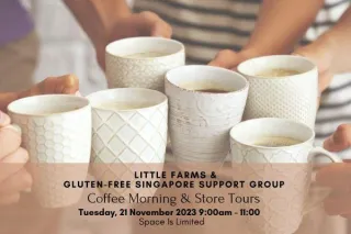 Support Group Coffee Morning, 21 Nov. 2023