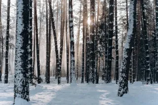 Things to Do in the Winter Near Me