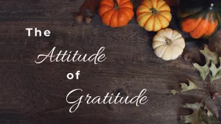 Gratitude