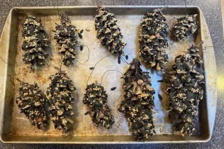 Homemade Bird Seed Ornaments