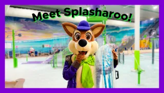 Meet Splasharoo!