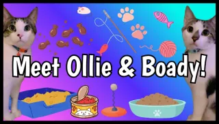 Pet of the Month: December 2025