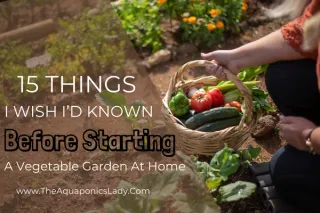15 things I wish I knew before I started a veggie garden