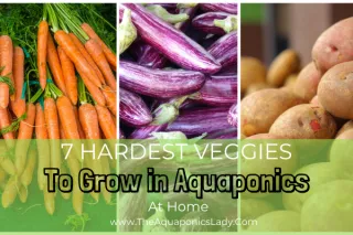 7 Hardest Vegetables to Grow in Aquaponics (and Why They’re So Challenging!)