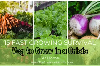 15 Fast-Growing Survival Vegetables for Your Crisis Garden