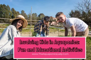 Aquaponics for Kids: Fun & Educational Family Activities