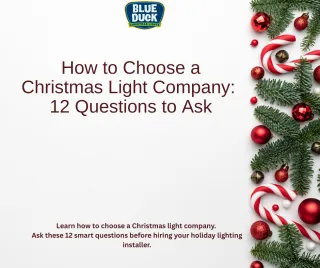 How to Choose a Christmas Light Company: 12 Questions to Ask