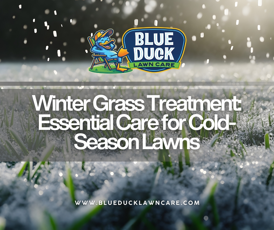 Winter Grass Treatment: Essential Care for Cold-Season Lawns