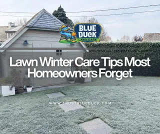 Lawn Winter Care Tips Most Homeowners Forget