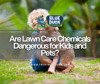 Are Lawn Care Chemicals Dangerous for Kids and Pets?