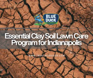 Essential Clay Soil Lawn Care Program for Indianapolis