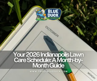 Your 2026 Indianapolis Lawn Care Schedule: A Month-by-Month Guide