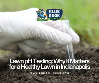Lawn pH Testing: Why It Matters for a Healthy Lawn in Indianapolis