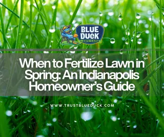 When to Fertilize Lawn in Spring: An Indianapolis Homeowner’s Guide