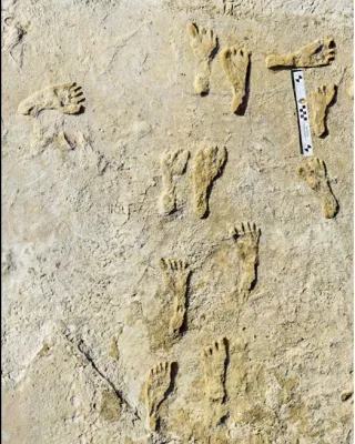 The Oldest Footprints Are a Little… Personal