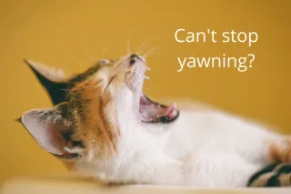 Can't Stop Yawning?