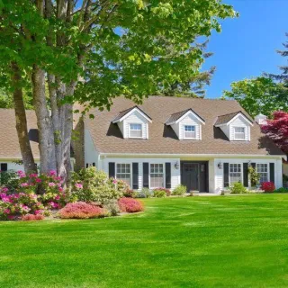 How to Get a Green, Weed-Free Lawn and Keep It Healthy All Summer